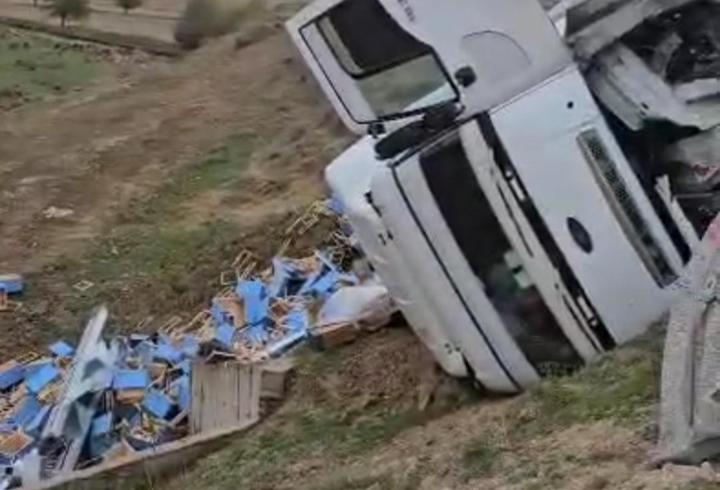 Arı kovanı yüklü TIR şarampole devrildi: 1 yaralı