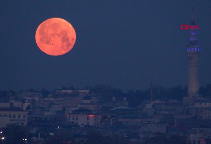BAHARIN MÜJDECİSİ | İstanbul'da "pembe Ay" heyecanı