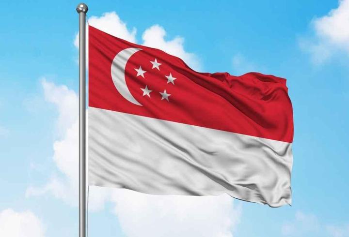 Singapur'da parlamento feshedildi, seçim süreci başladı