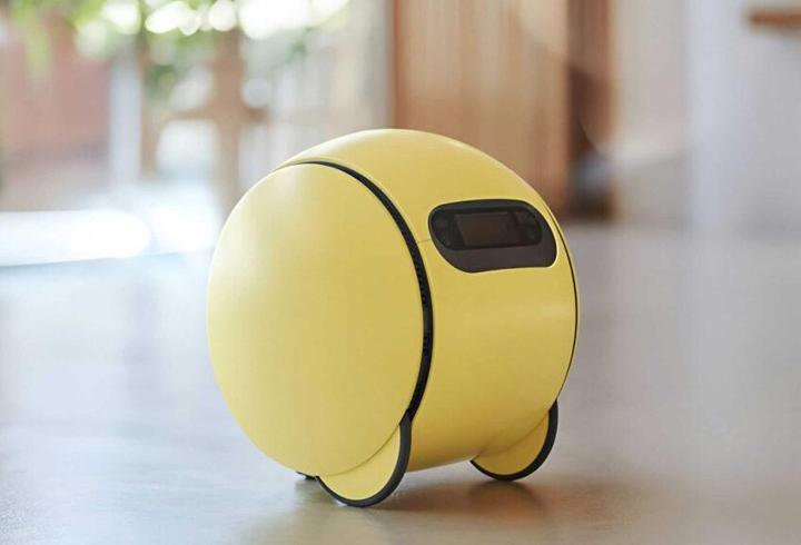 Akıllı ev robotu Ballie için iş birliğini genişletti