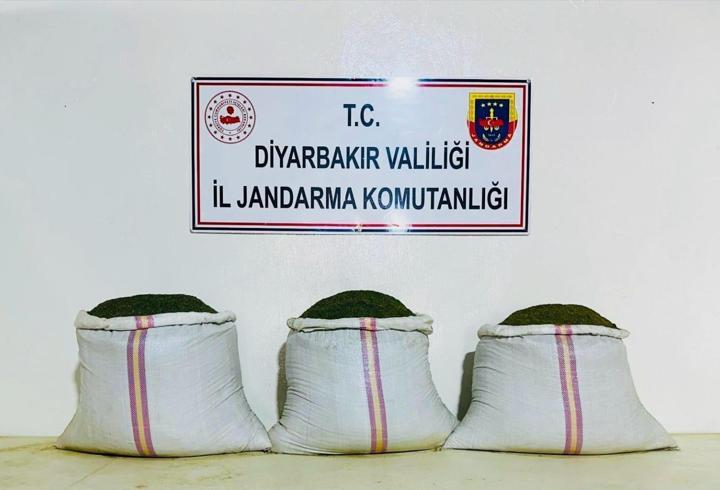 Diyarbakır'da 18 Bin Kök Kenevir Operasyonu