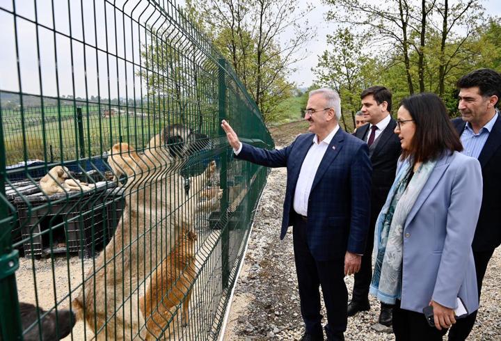 Sokak hayvanlarına 51 ilde doğal yaşam alanları