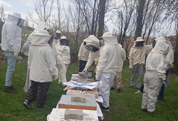 Şarkışla'da arıcılık kursu açıldı