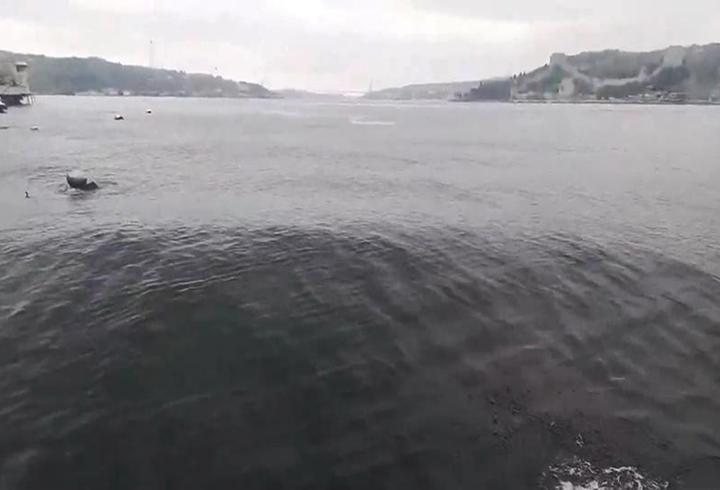 Deprem anında İstanbul Boğazı'nda dalgalar oluştu