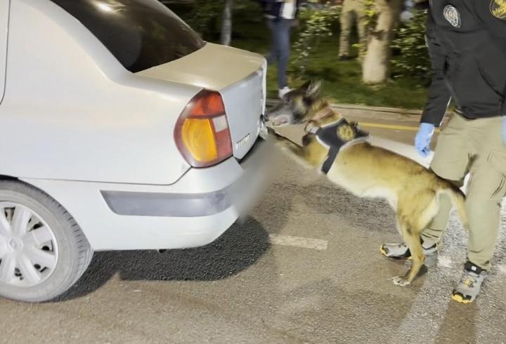 Otomobildeki 39 kilo uyuşturucuyu ‘Linda’ buldu