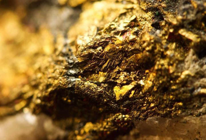 Fransa'da çiftçinin tarlasında 150 ton altın bulundu