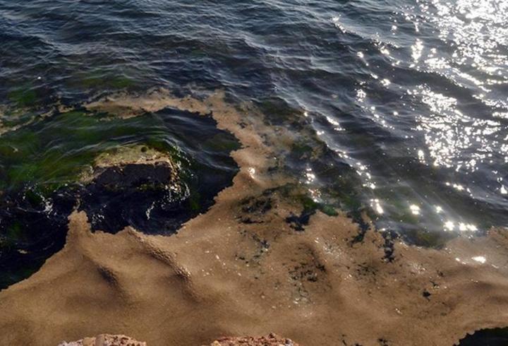 Kabus geri mi döndü? Yalova kıyılarında korkutan görüntü