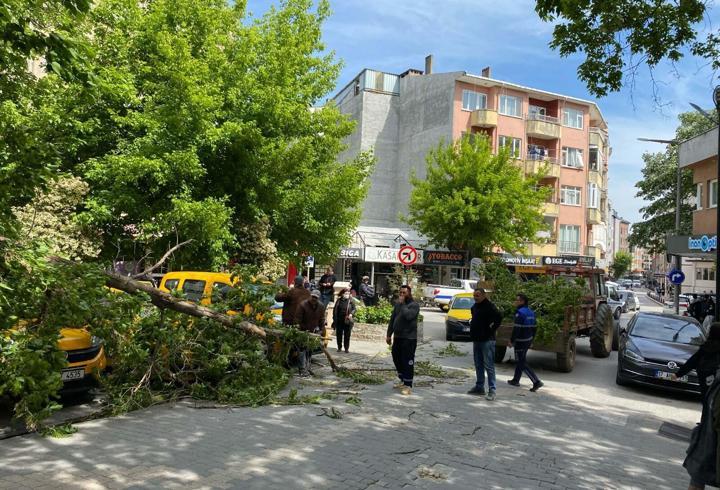 Çanakkale'de kırılan ağaç dalı, 3 otomobile zarar verdi
