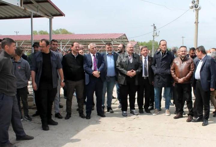 500 küçükbaş teslim edildi