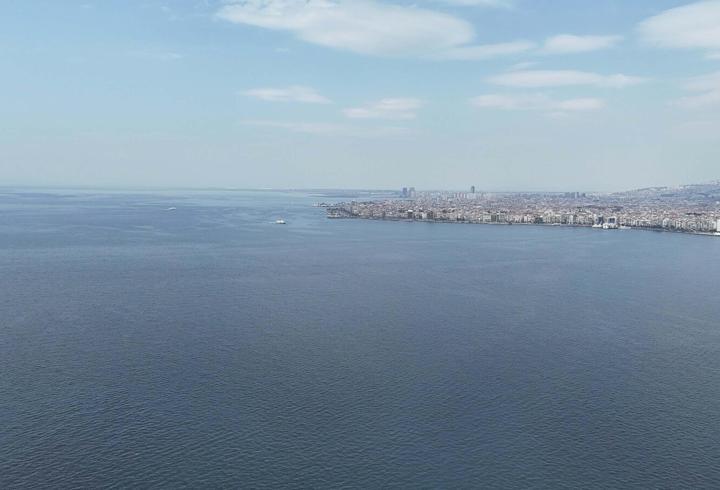 İzmir Körfezi'nde Umut Veren Gelişme