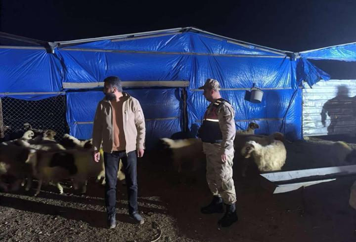 Kilis'te 25 Küçükbaş Hayvan Bulundu