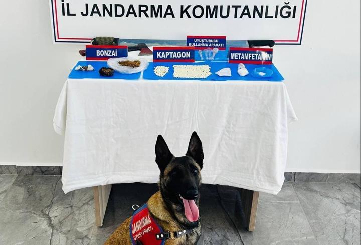 Kırıkhan'da Uyuşturucu Operasyonu: 1013 Hap Ele Geçirildi