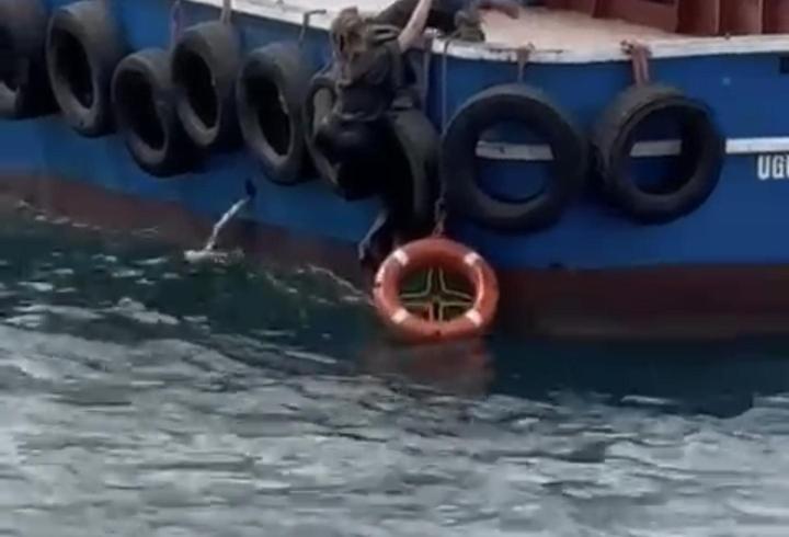 İstanbul - Kartal'da vapurdan denize düşen kadını balıkçılar kurtardı