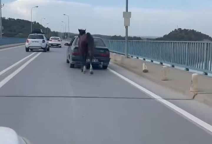 Otomobile bağladığı at ile ilerledi; 2 gözaltı