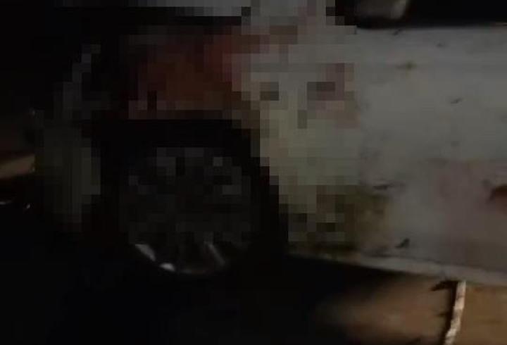 Elazığ'da Otomobilin Çarptığı 15 Koyun Öldü