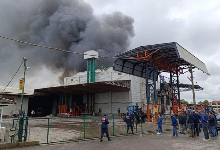 Sakarya'da Fındık Kırım Fabrikasında Yangın Çıktı