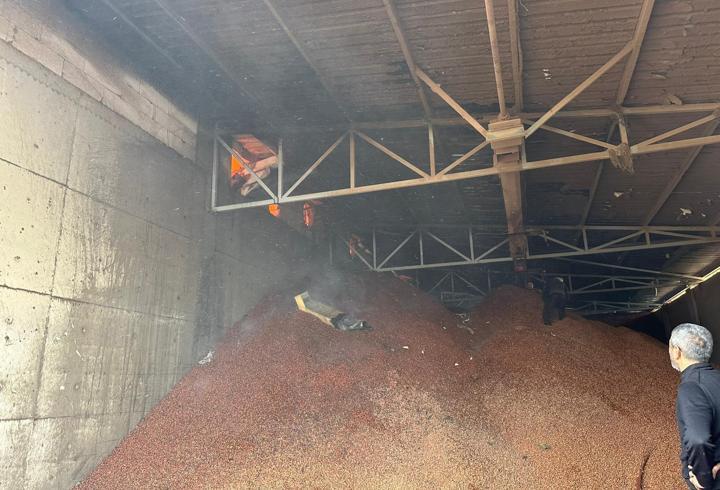 Sakarya'da Fındık Fabrikasında Yangın: 2,5 Saatlik Mücadele