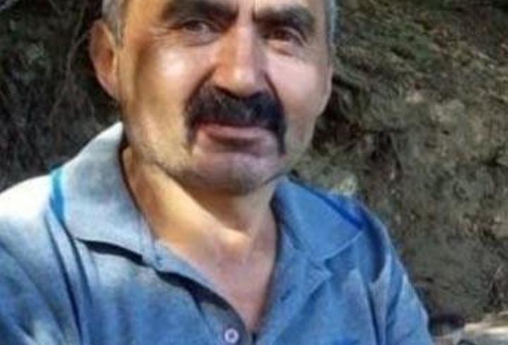 Üzerine ağaç devrilen kesim işçisi öldü