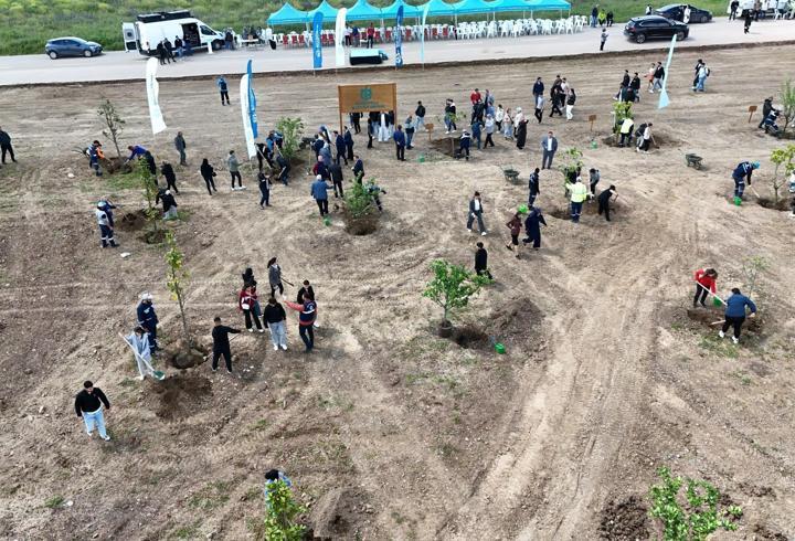 Kocaeli’de binlerce fidan toprakla buluştu 