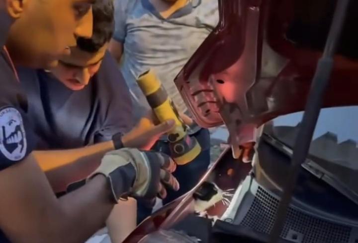 Otomobile sıkışan kediyi itfaiye ekibi kurtardı