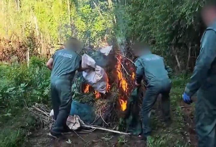 Hevsel Bahçeleri'nde 30 bin kök kenevir ele geçirildi