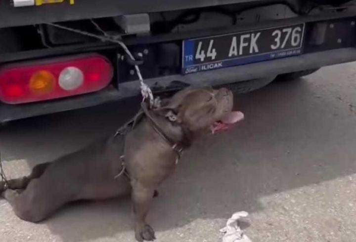 Malatya'da pitbull cinsi köpeğin saldırısına uğrayan kadın yaralandı