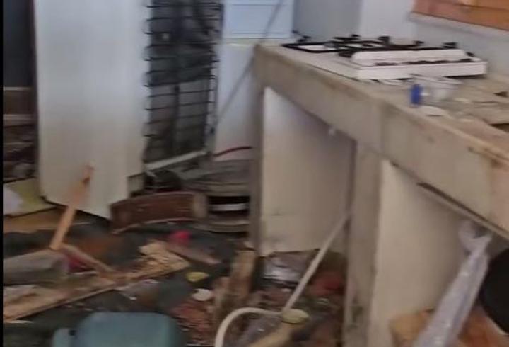 Aç kalan ayılar, belediye başkanının yayla evine girdi