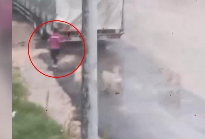 Başıboş köpeklerin çocuğu kovaladığı anlar kamerada