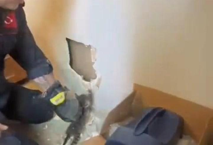 Duvarın içinde sıkışan 2 yavru kediyi itfaiye kurtardı