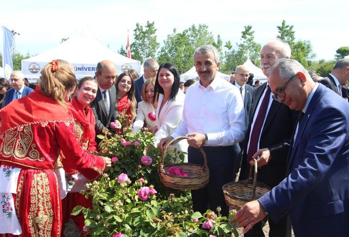 Edirne gülü, törenle hasat edildi