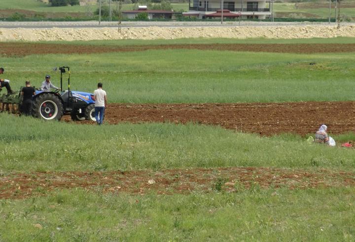 Gercüş'te Çiftçiler Erken Ekime Başladı