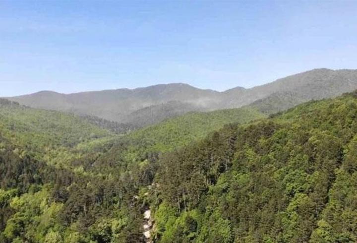 HABER... Pikniğe gidecekler dikkat! Ormanlık alanlara giriş yasağı geliyor