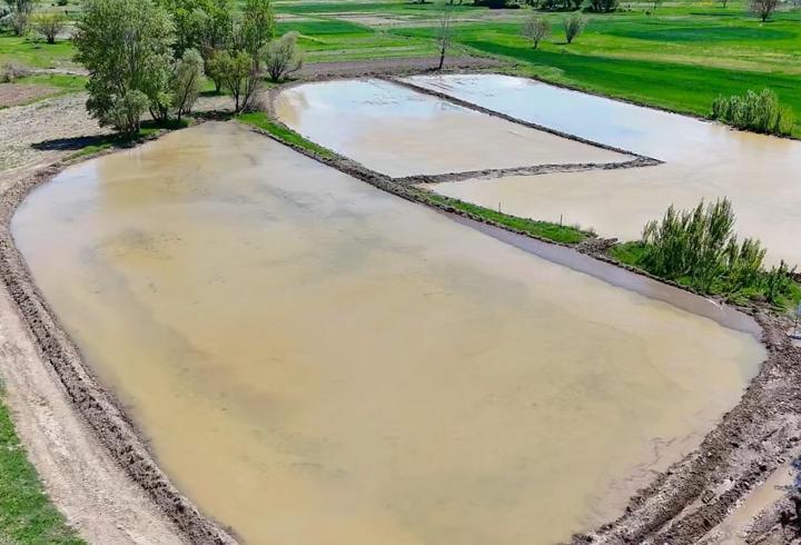 Kızılcahamam’da çeltik ekimi yapıldı