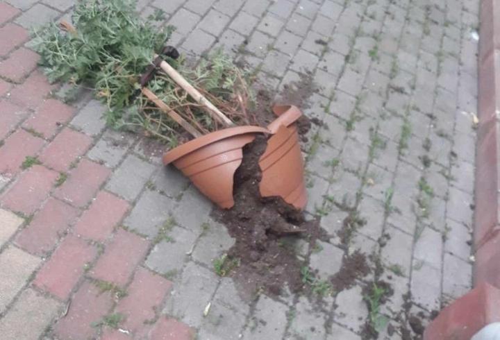 Pamukova'da fırtına etkili oldu