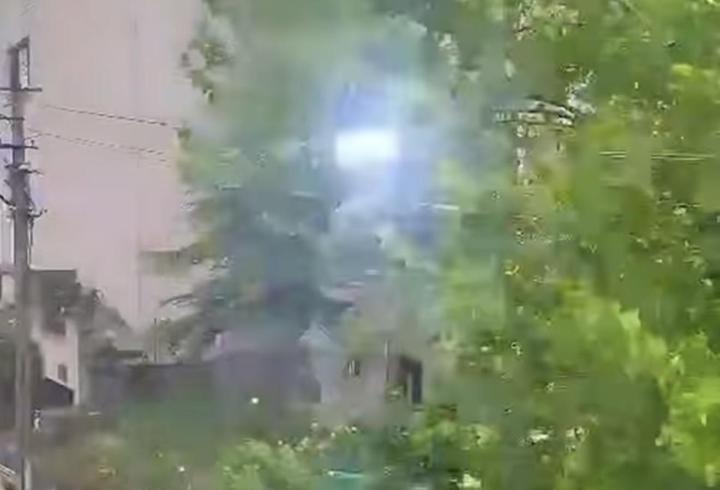 Bartın'da şiddetli rüzgar; ağaçlar devrildi