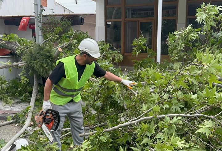 Turgutlu'da şiddetli rüzgar; ağaçlar devrildi