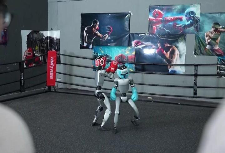 DÜNYADA BİR İLK! Ringe çıkan bu sefer robotlardı