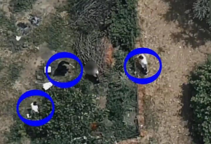 İznik'te 7,5 Yıl Hapis Cezası Olan Şahıs Dronla Yakalandı