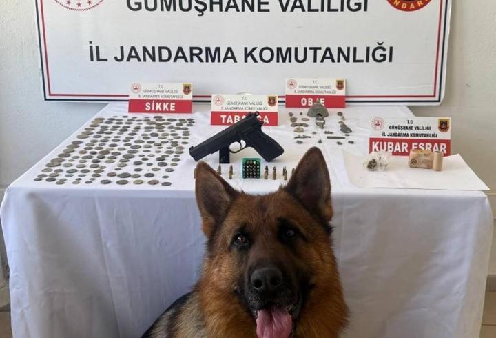 Gümüşhane'de 165 sikke ele geçirildi