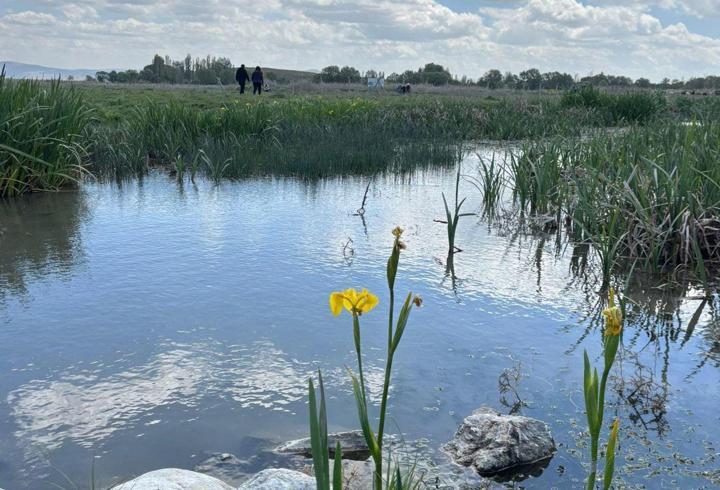 Eber Gölü ve çevresi 'ava kapalı bölge' oldu