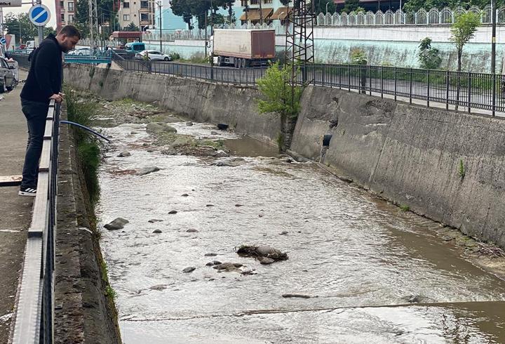 Rize'de endişelendiren tablo: İnceleme başlatıldı