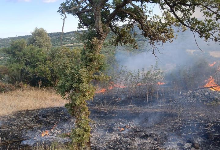Çanakkale'de makilik alanda çıkan yangın söndürüldü