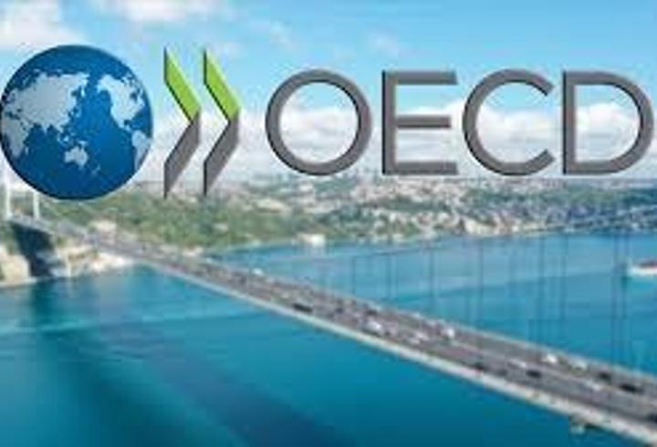 OECD, Türkiye 2025 büyüme tahminini açıkladı