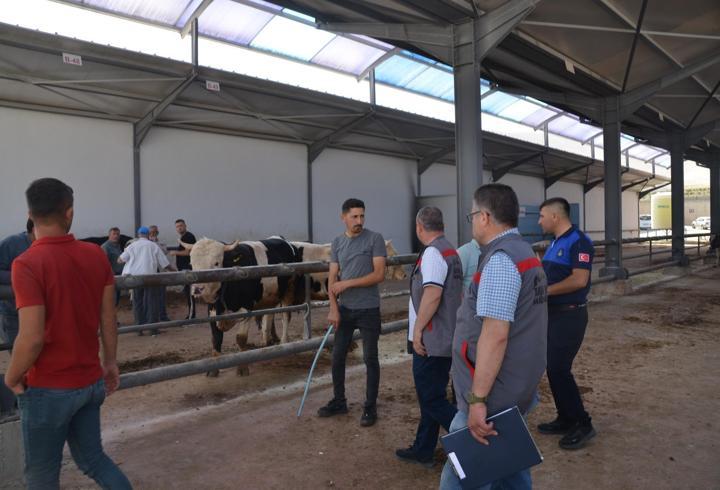 Kurbanlık hayvan satış alanlarında denetim