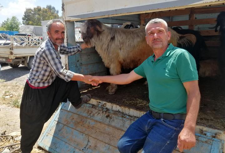 Gazipaşa'daki kurban pazarında hareketlilik