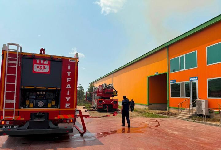 Ankara'da Yumurta Tesisinde Yangın: 150 Bin Tavuk Öldü