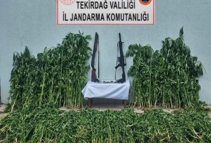 Tekirdağ'da uyuşturucu operasyonunda 3 gözaltı