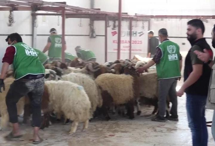 Suriye'de Kurban Bayramı heyecanı