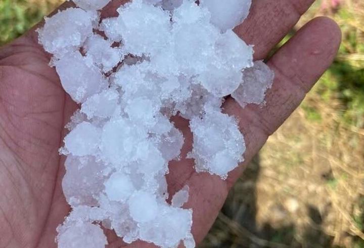Manisa’da dolu alarmı! Sarıgöl bağlarını tül örtüler kurtardı