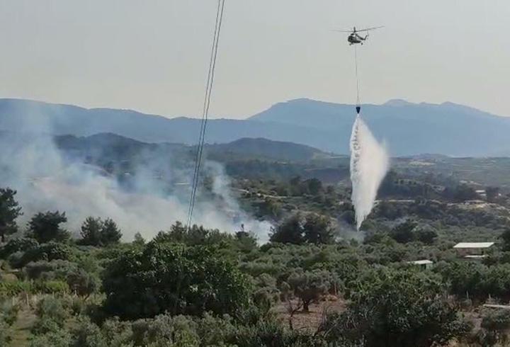 Manisa'da tarım arazisindeki yangın, ormanı da yaktı